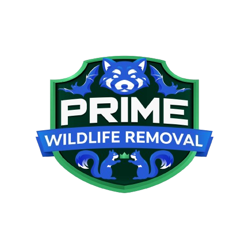 Animal Removal Madison